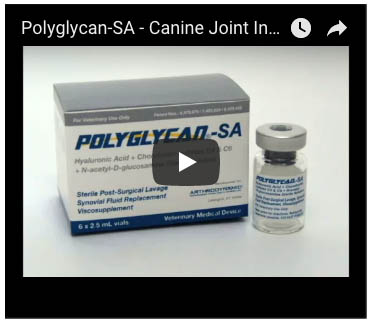 polyglycan-sa and Companion Animal: Joint Injection Techniques